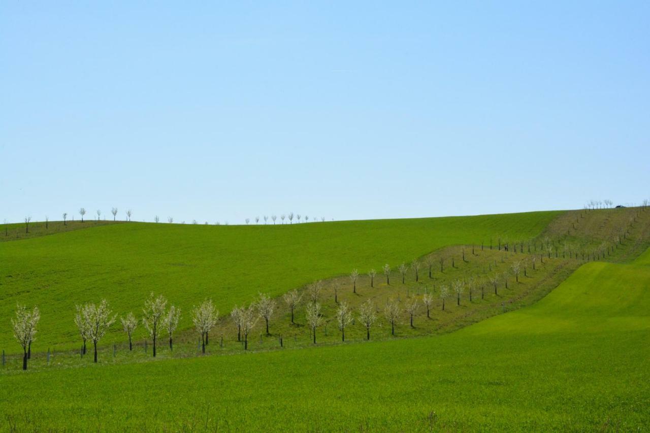 Moravske Toskansko Stavesice Exteriör bild